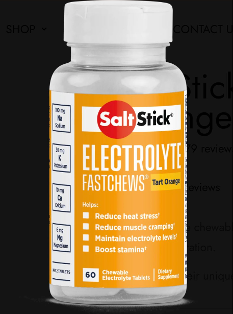 SaltStick Fastchews 60ct