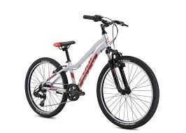 Fuji Dynamite 24" Sport Shimano Tourney - 2021 Silver